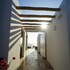 paracas