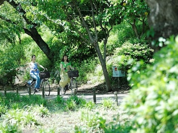 andhere tokyo ueno