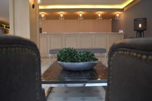 hotel plaza revolucion