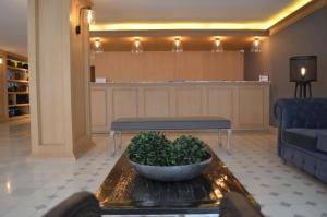 hotel plaza revolucion