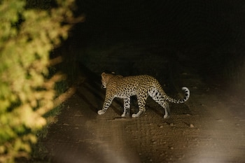 batoka zambezi sands
