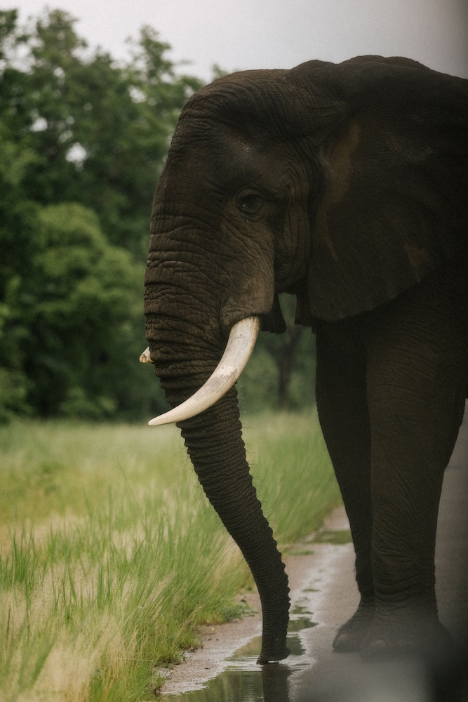 batoka zambezi sands