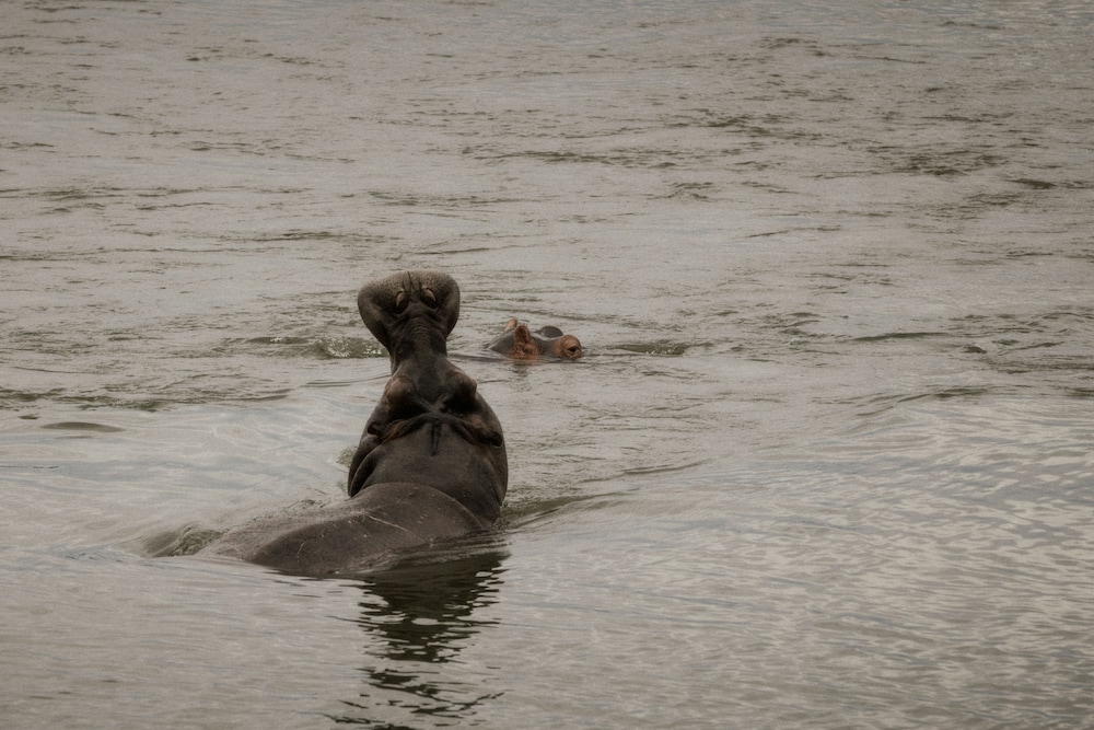 batoka zambezi sands