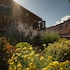 red cliffs lodge moab
