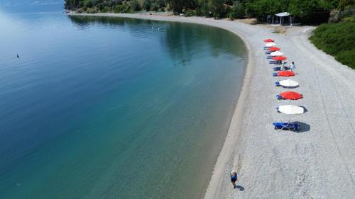 armonia elegant apartments