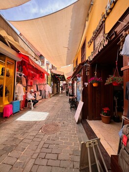 tarihi sari konak