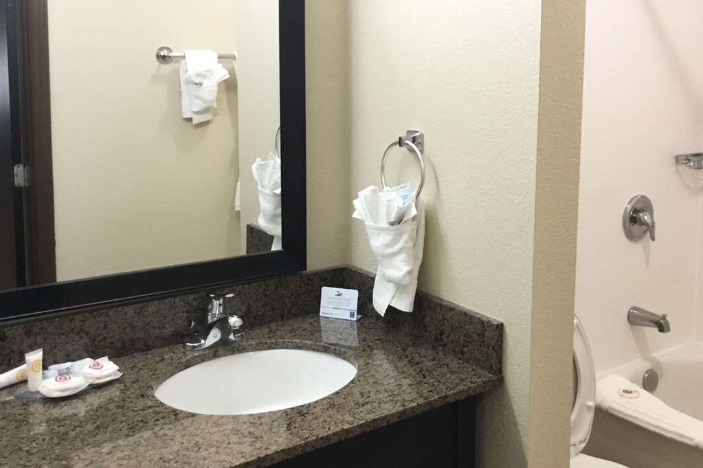 comfort inn asheville east blue ridge pkwy access