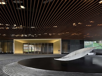 hilton nanjing niushoushan