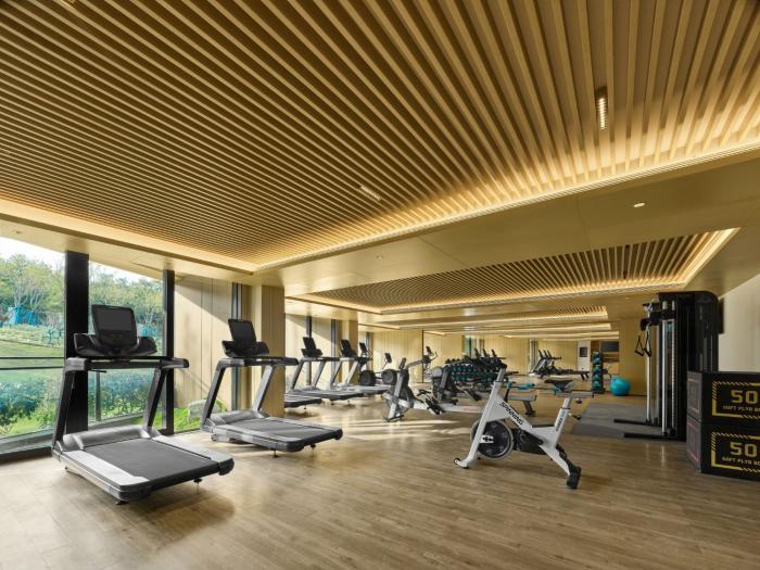 hilton nanjing niushoushan