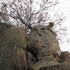 balule bushveld safari lodge
