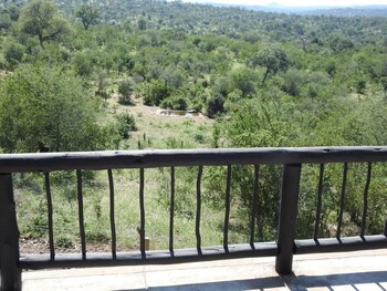 balule bushveld safari lodge