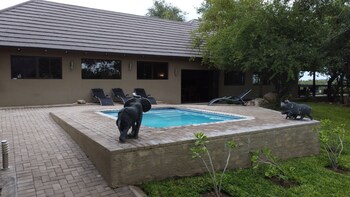 balule bushveld safari lodge