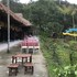 hai phong