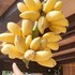 hai phong