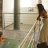 grifo hotel charme and spa