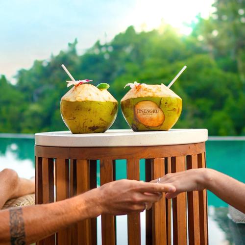 horison ume suites and villas