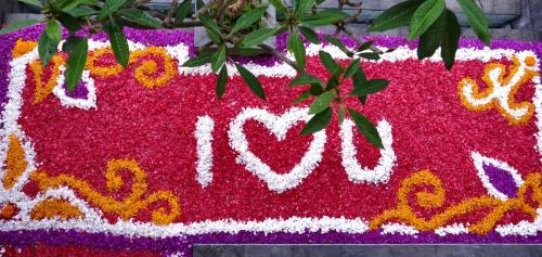 horison ume suites and villas