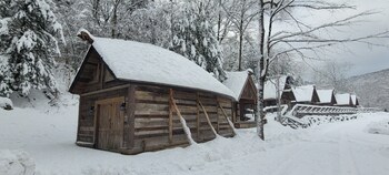 brattleboro