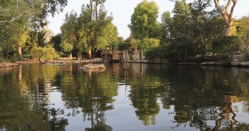 Layla Glamping,Kefar Kish>>Emek Hamaayanot,0 star