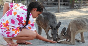 Layla Glamping,Kefar Kish>>Emek Hamaayanot,0 star