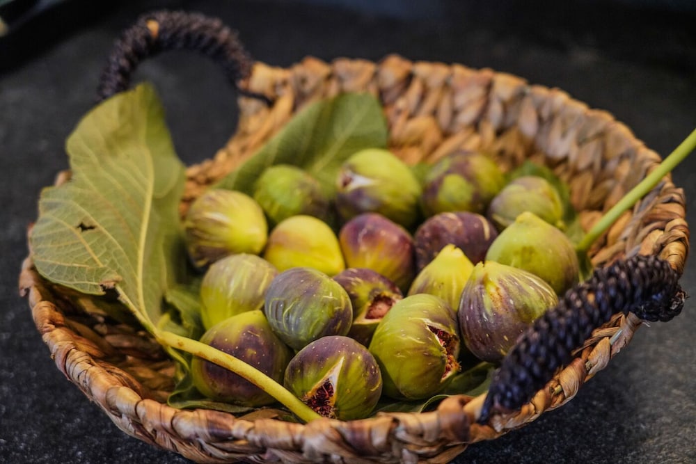 moonlight apartments and suites