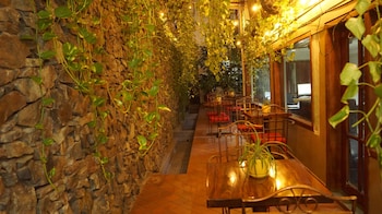 Hotel Casa Del Arbol,San Pedro Sula>>Puerto Cortes,3 star