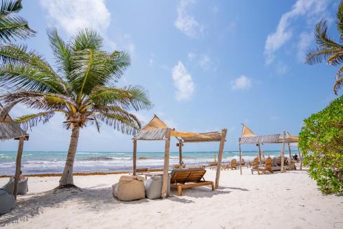 ahau tulum