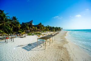 ahau tulum