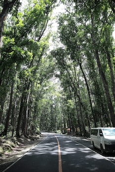 virgin island resort restaurant and spa