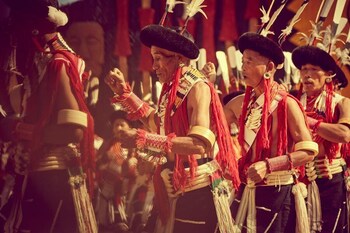 Kohima Camp Nagaland By Tutc,Kohima>>Henima,4 star