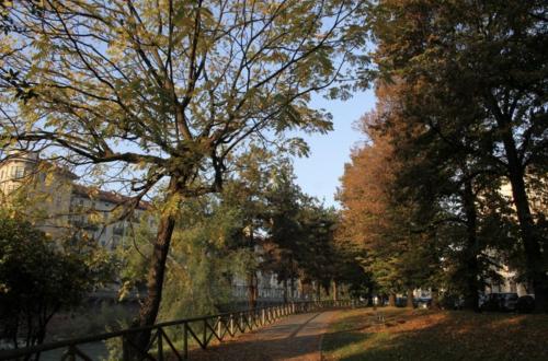 turin