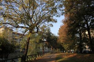 turin