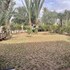 au coeur de la palmeraie de marrakech