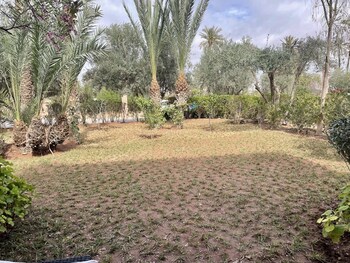 au coeur de la palmeraie de marrakech