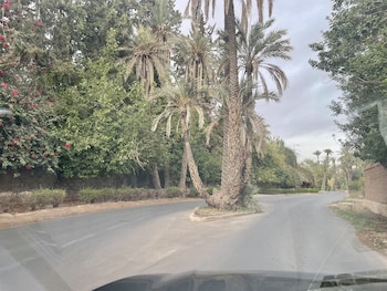 au coeur de la palmeraie de marrakech