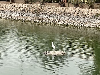 marrakech
