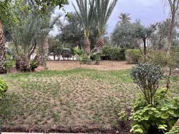 au coeur de la palmeraie de marrakech
