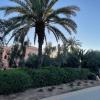 au coeur de la palmeraie de marrakech
