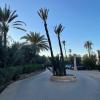 au coeur de la palmeraie de marrakech
