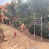 au coeur de la palmeraie de marrakech
