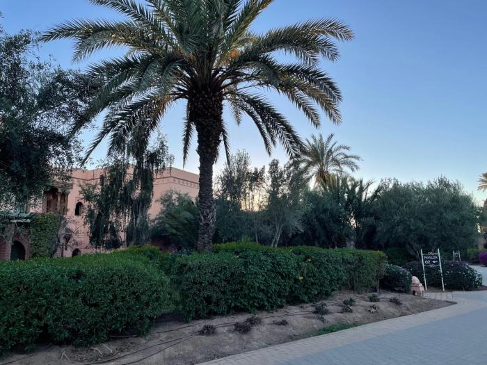 au coeur de la palmeraie de marrakech