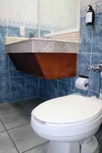 san juan de los lagos