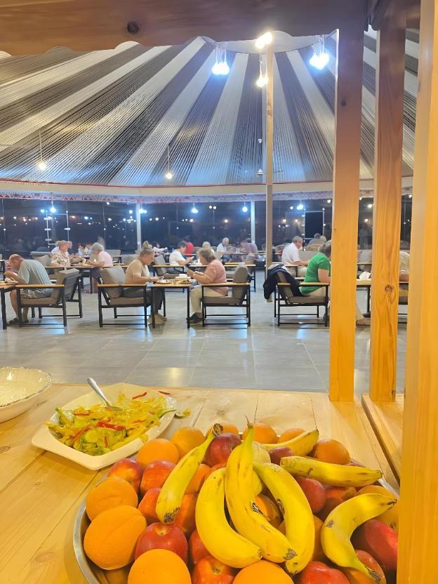 shaheen luxury camp