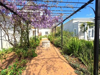 stellenbosch