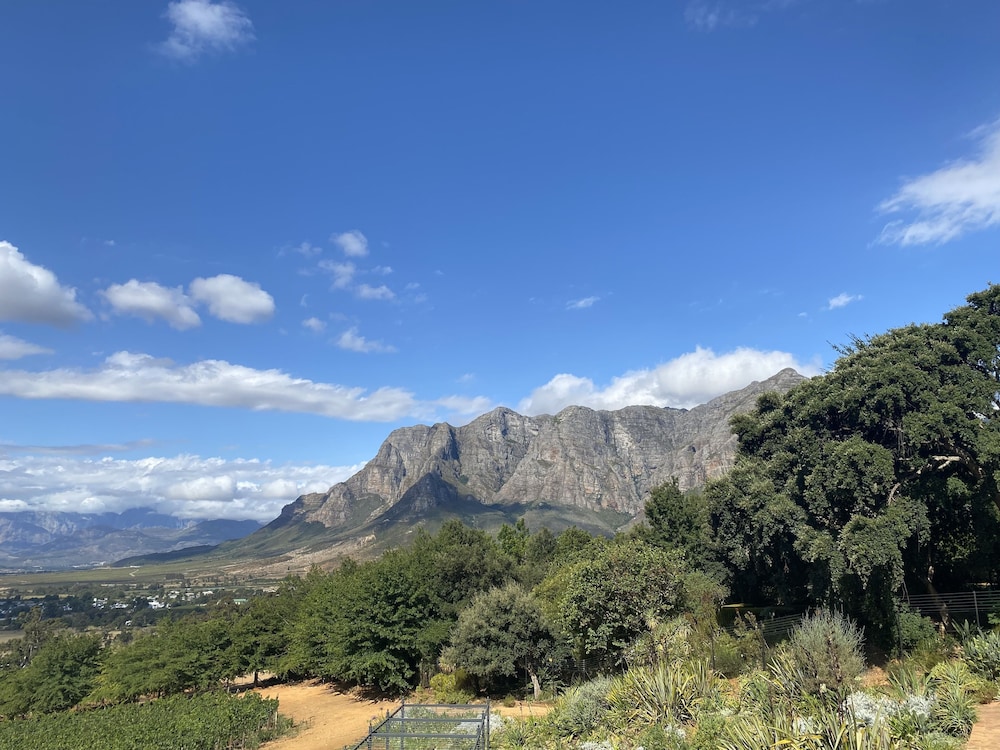 stellenbosch
