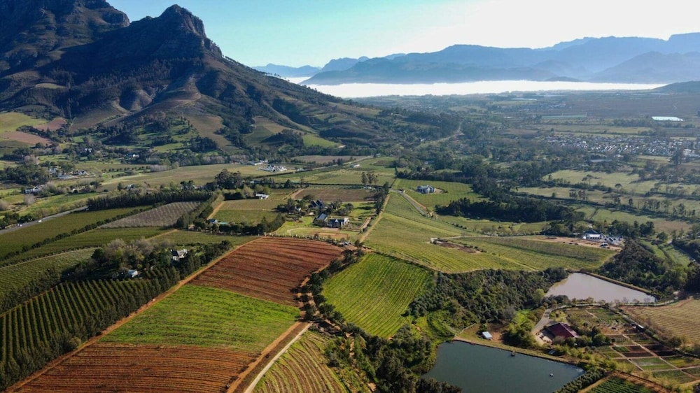 stellenbosch