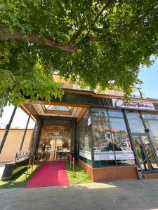 reikartz amar samarkand