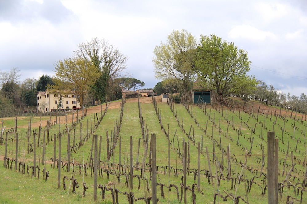 villa delia hotel and cooking school