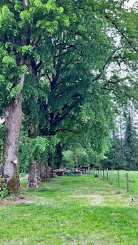 hotel en tilleul
