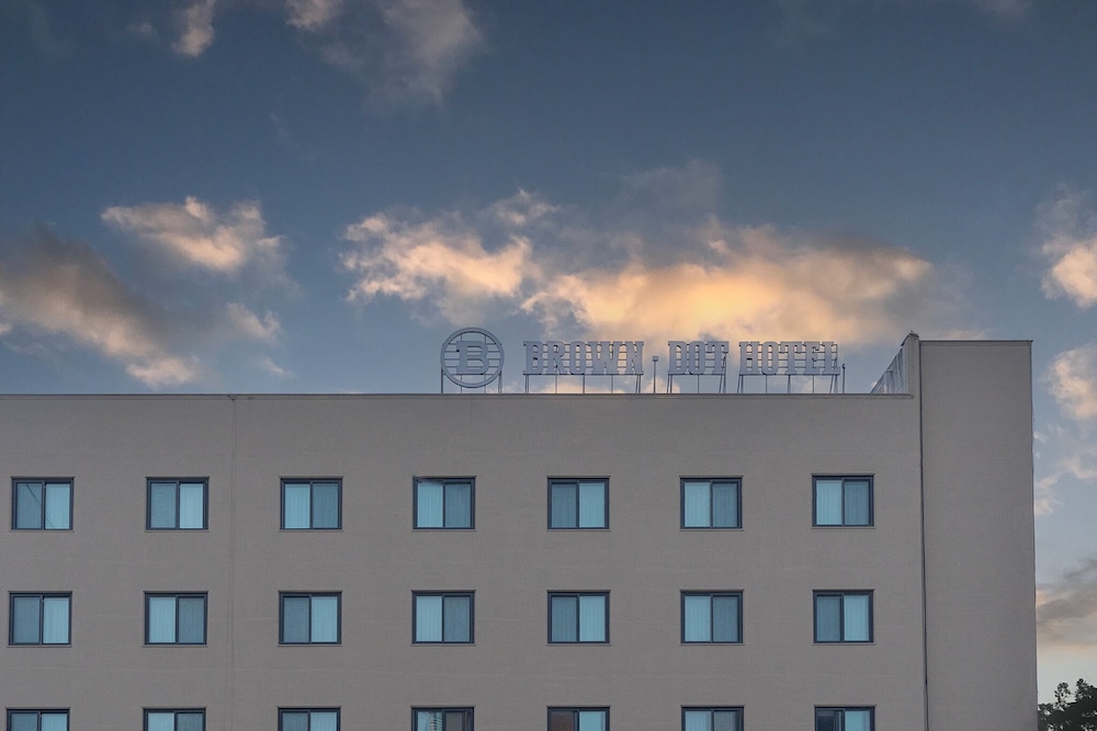 siheung brown dot jeongwang